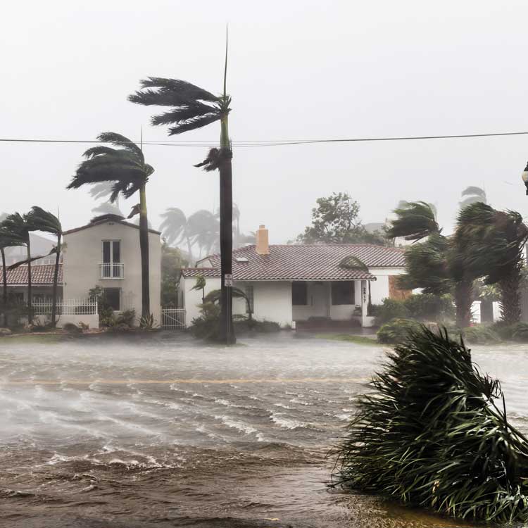 Hurricane season is here: Are you prepared?